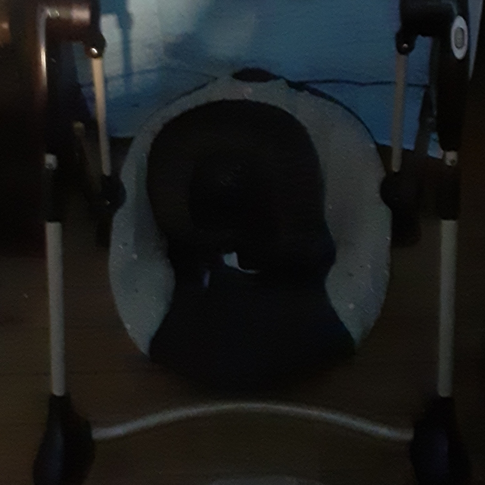 Baby swing